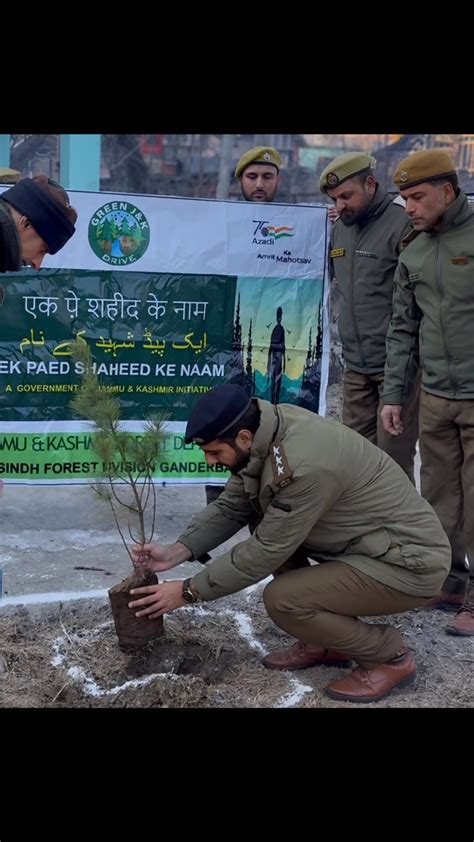 plant a tree sadaqah jariyah|Trees Campaign .